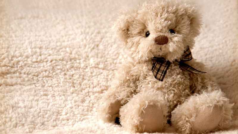 ositos de peluche chiquitos precio