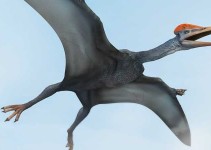 Nombres de dinosaurios voladores y sus características